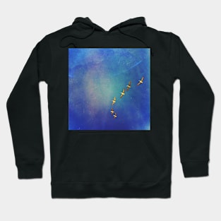 Soar higher Hoodie